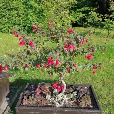 ŚWIETLICA CZYNNA CODZIENNIE