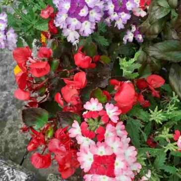 DZIĘKUJEMY WAM, DARCZYŃCY!